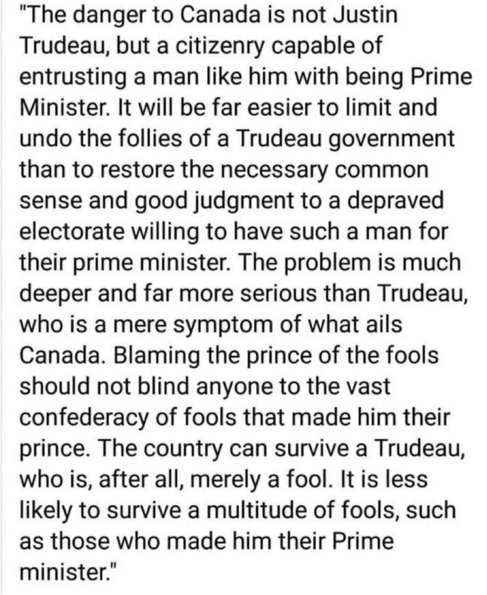 Diana Murphy tweet media