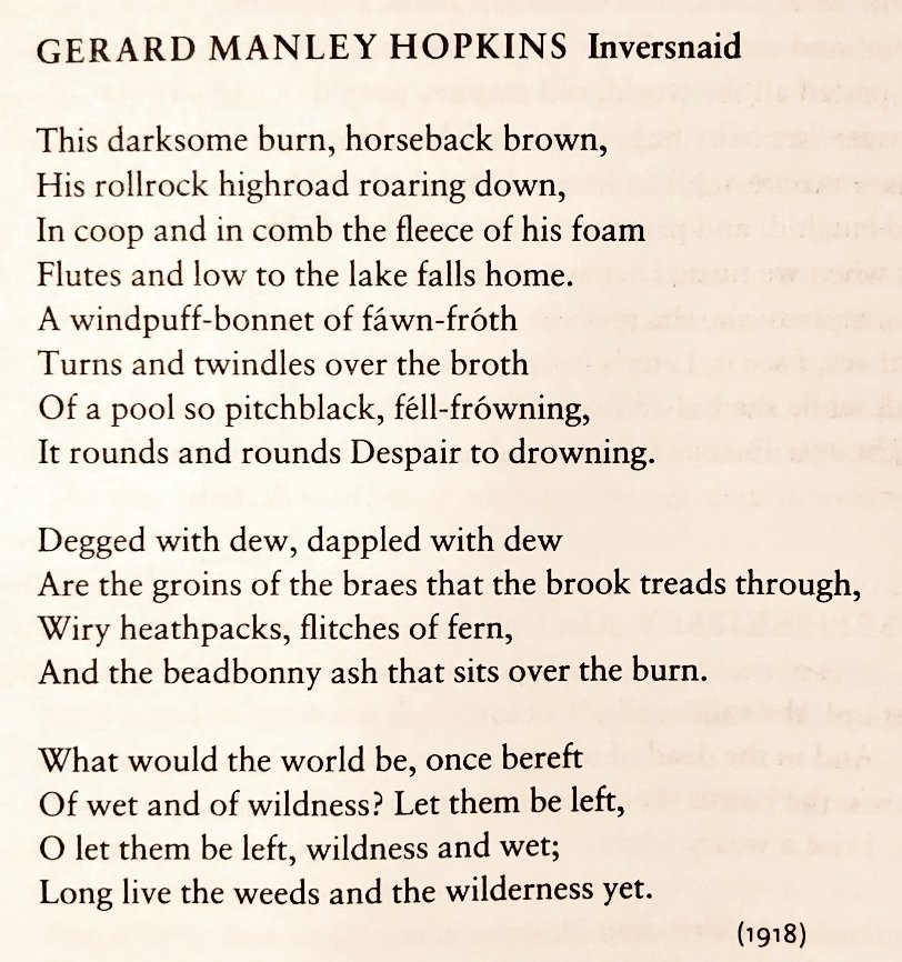 arealmofwonder's tweet photo. "O let them be left, wildness and wet;
Long live the weeds and the wilderness yet." #Nature #Poetry https://t.co/sz9HHmIoCv