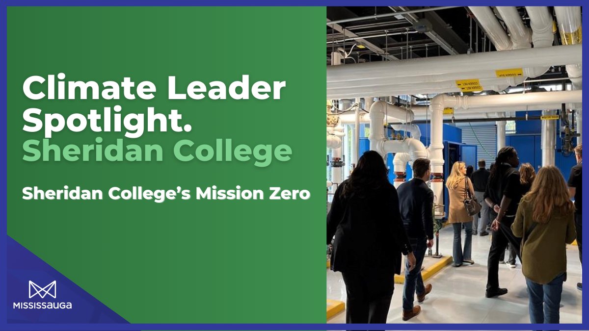 Read our Climate Leader Spotlight on <a href="/sheridancollege/">sheridancollege</a>'s Mission Zero!💡

Sheridan College’s Sustainable Development recently shared the exciting work they have been doing to transform Sheridan into a leader in sustainability.

Learn more➡️ow.ly/9Xnt50Q795L
#saugabusiness