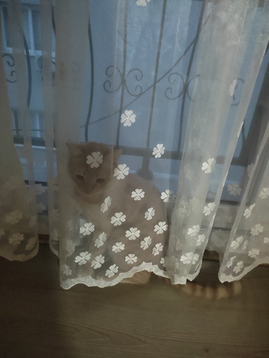 Saklandığını düşünüyor