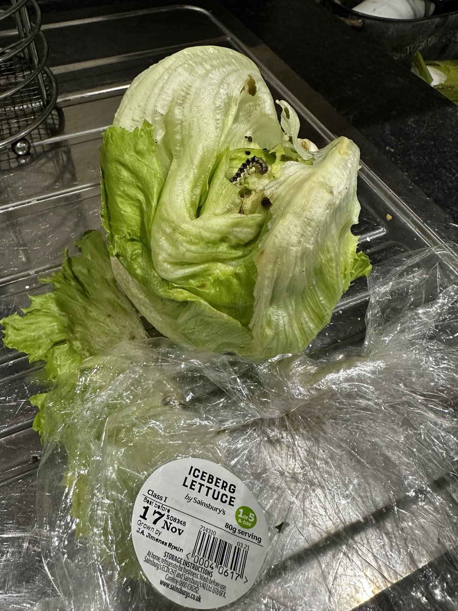 GarethCV's tweet photo. @sainsburys well that was unexpected in my lettuce. https://t.co/ODy6B8yEfD