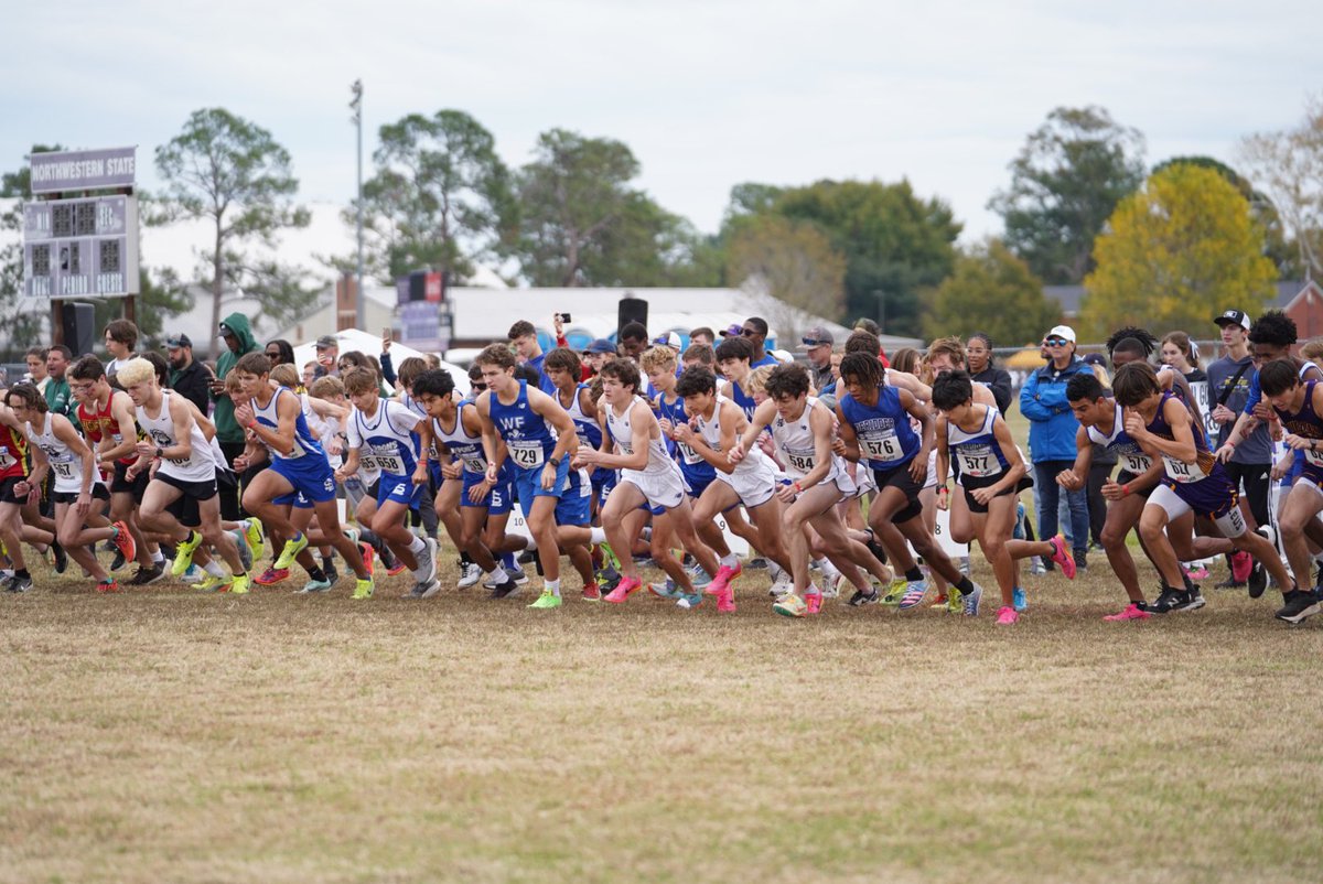 Holy Cross Tigers tweet media