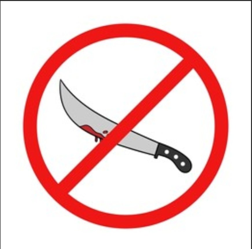 ASpireOnTheFlag's tweet image. Plans to ban all machetes.

Machete free zones in the works.

#machetecontrol #macheteban