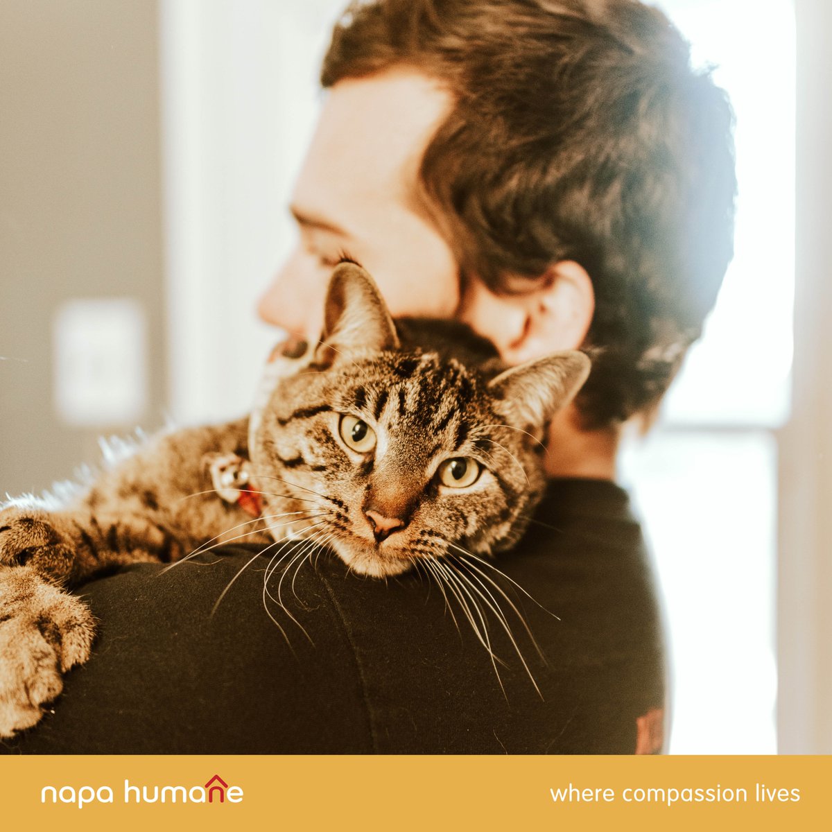 Celebrating World Kindness Day with a Touch of Compassion 🌍
Today, on #WorldKindnessDay, we are reminded of the profound impact that simple acts of kindness can have on the world around us.