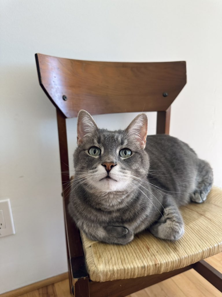 s4m31p4n's tweet image. Zack check