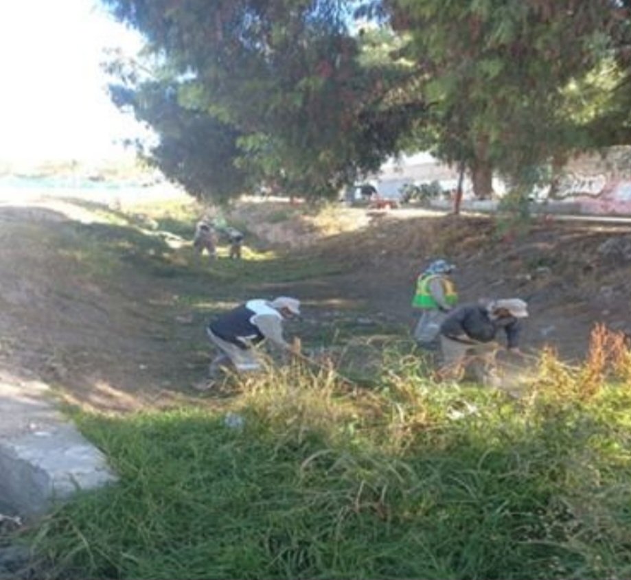 sergiobanosr's tweet image. Familia, iniciamos esta semana informando en la #RuedaDePrensa 🎙️, sobre las acciones realizadas en beneficio de las y los pachuqueños. 

👷🏻‍♂️ Aplicamos el #ProgramaDeBacheo en las colonias: Real Toledo, Fraccionamiento Pitahayas, colonia Río de la Soledad, Valle de San Javier,…