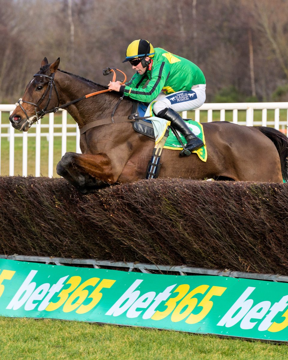 Musselburgh Racecourse tweet media