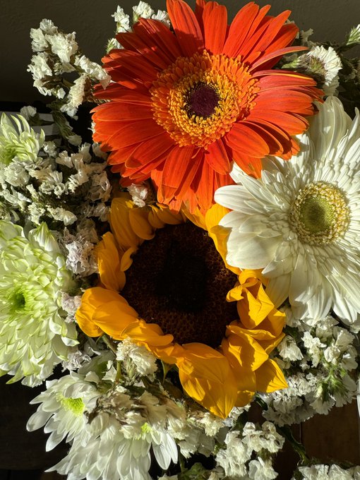 This week in life&hellip; https://t.co/hb0nGGnxlT