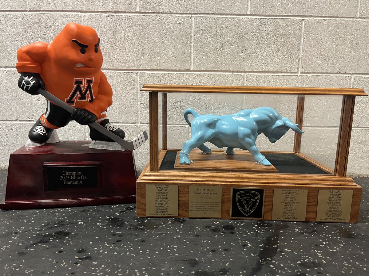 a_omgha's tweet image. What a wknd the boys capped off a perfect 5&amp;amp;0 wknd beating the host spuds 4-1 to take home the @YouthHockeyHub Blue Ox. What a fantastic tournament put on by YHH and the cities of Fargo/Moorhead. On to a busy wk of practice and D3 games. #family #1chain #bethatguy #effortsfree
