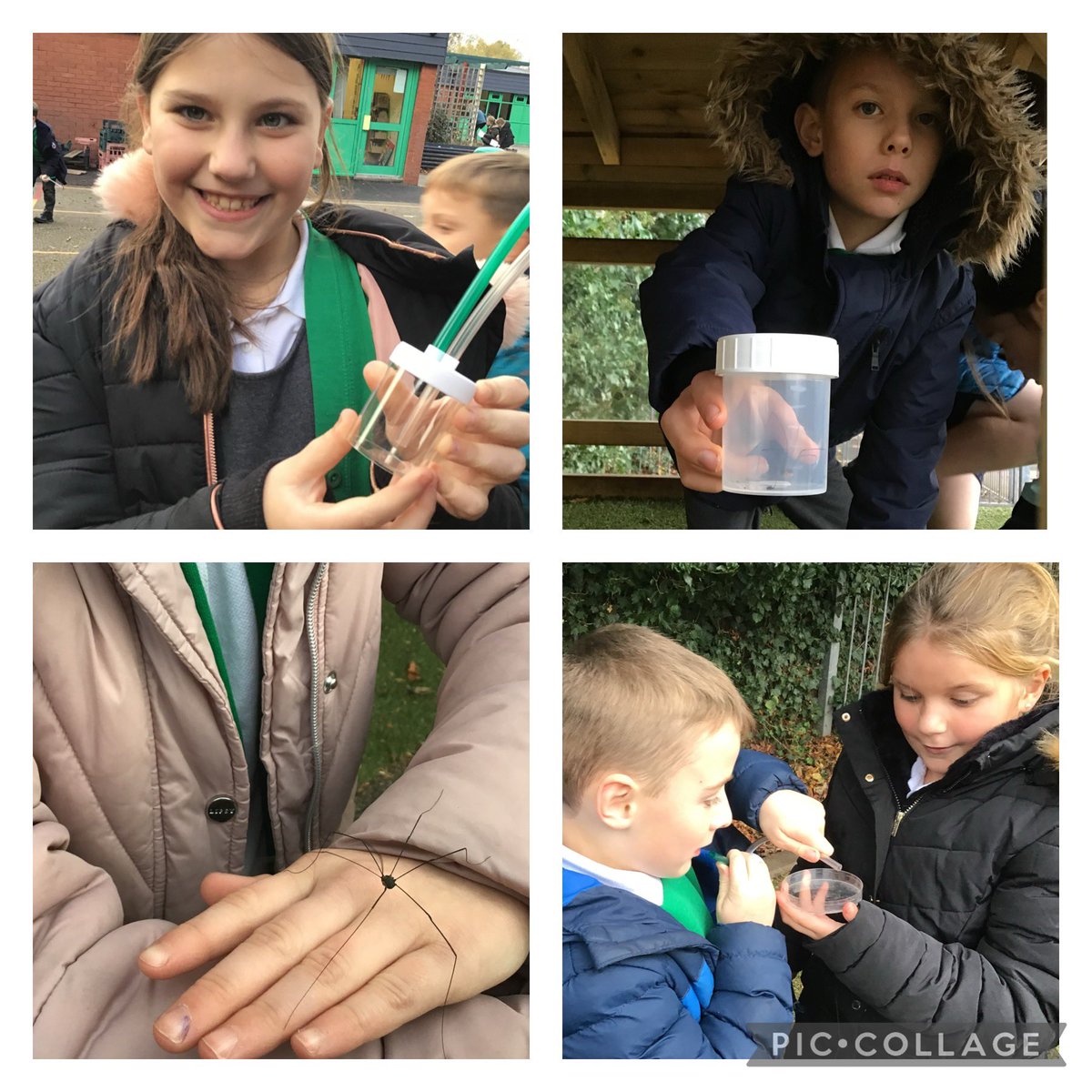 BVPSY4's tweet photo. The children braved a mini beast hunt this afternoon! 🐞🦟🐜🪲

We were finding patterns in habitats on our school playground, then using classifying maps to identify the creatures. We then considered which were vertebrates and invertebrates. 

#BVPSscience https://t.co/FphMmg4OB4
