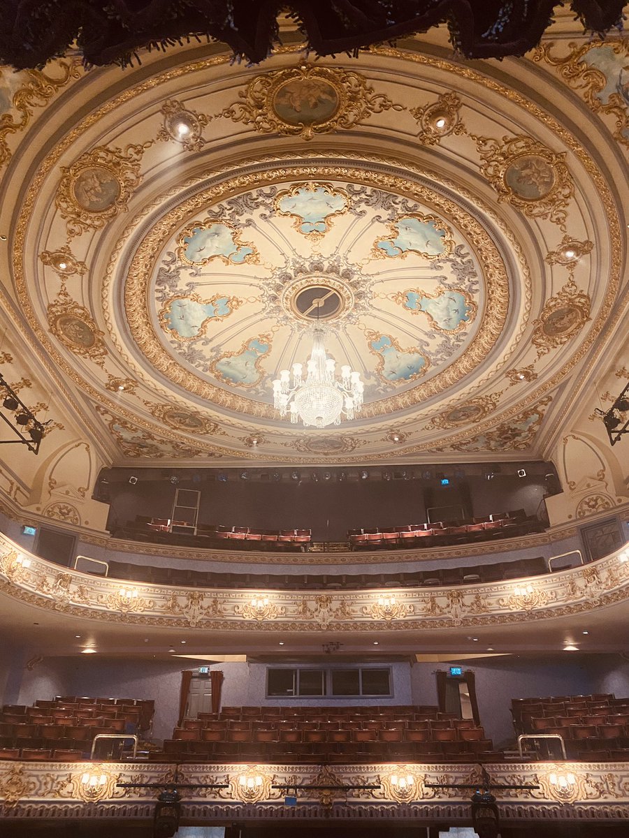 𝐄𝐯𝐞𝐥𝐲𝐧 𝐇𝐨𝐥𝐥𝐨𝐰 tweet media