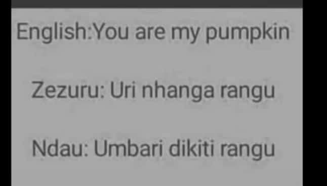 When I tell you that Ndau is the most romantic language munoramba. Ndikazwi Ndokuda maningi ndomera manhenga naaah  ☺️☺️☺️☺️
#NdauTwitter