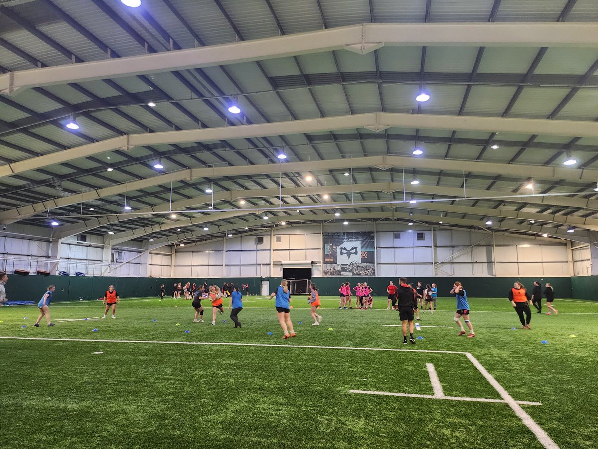 Sarah Lewis tweet media