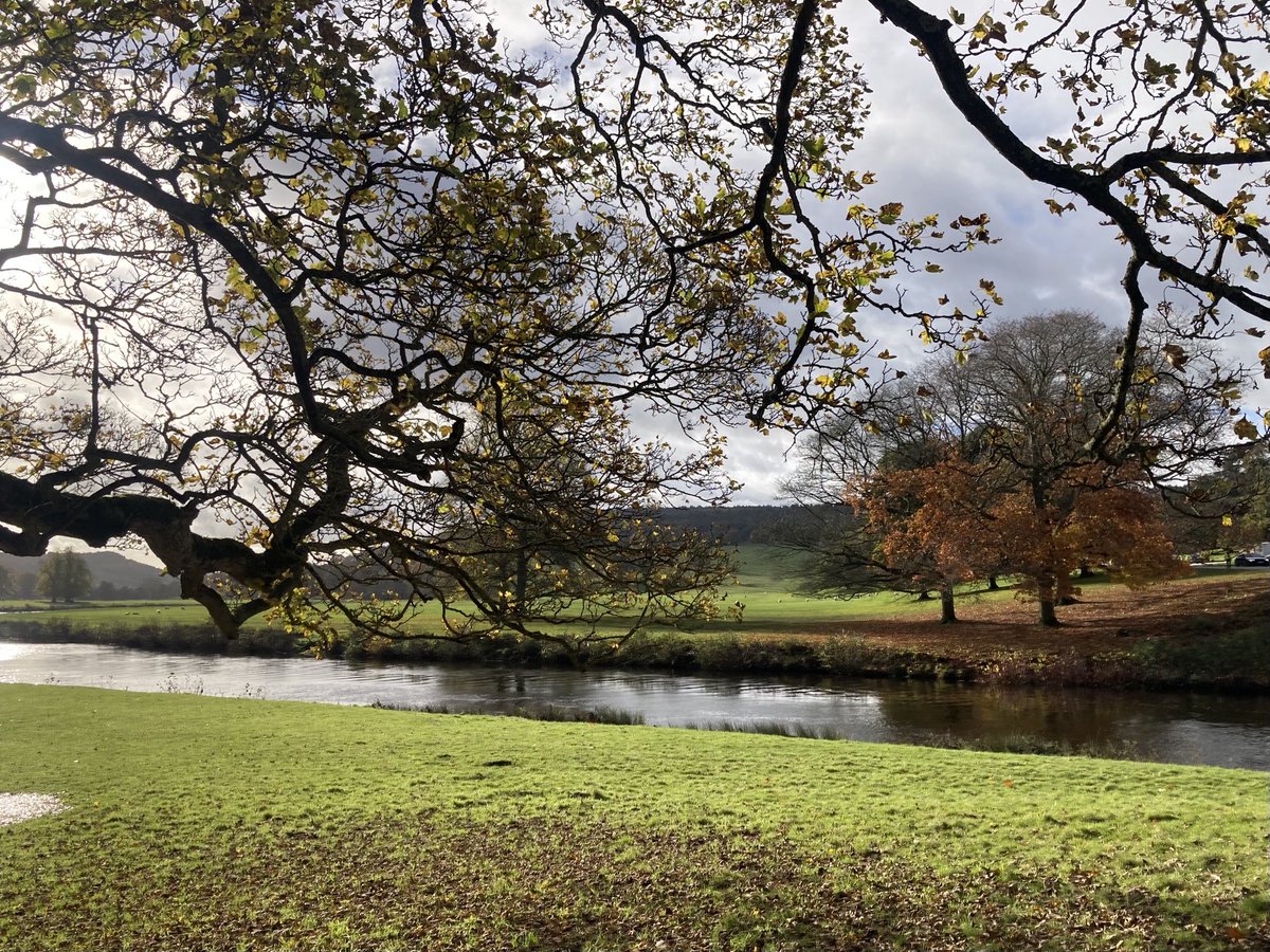 Night night twitter friends 😴leaving you with a lovely autumn Chatsworth from last week 🍁🧡