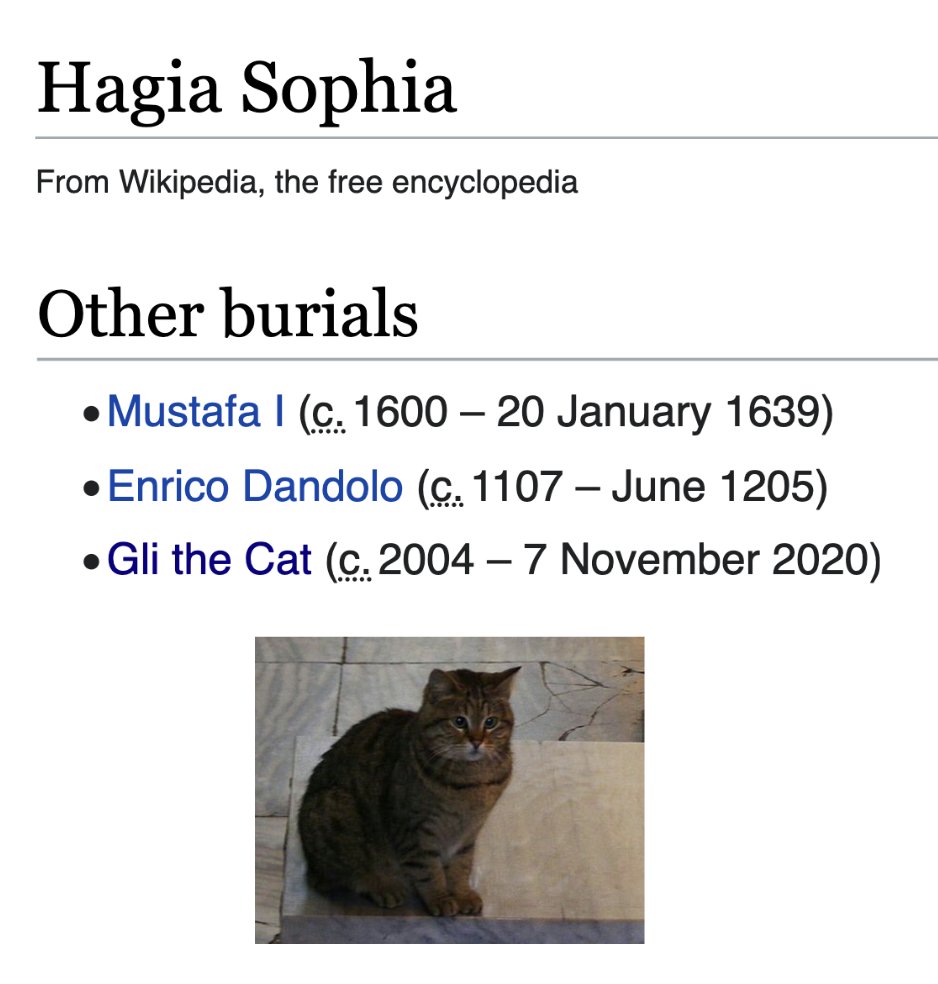 depthsofwiki's tweet image. 