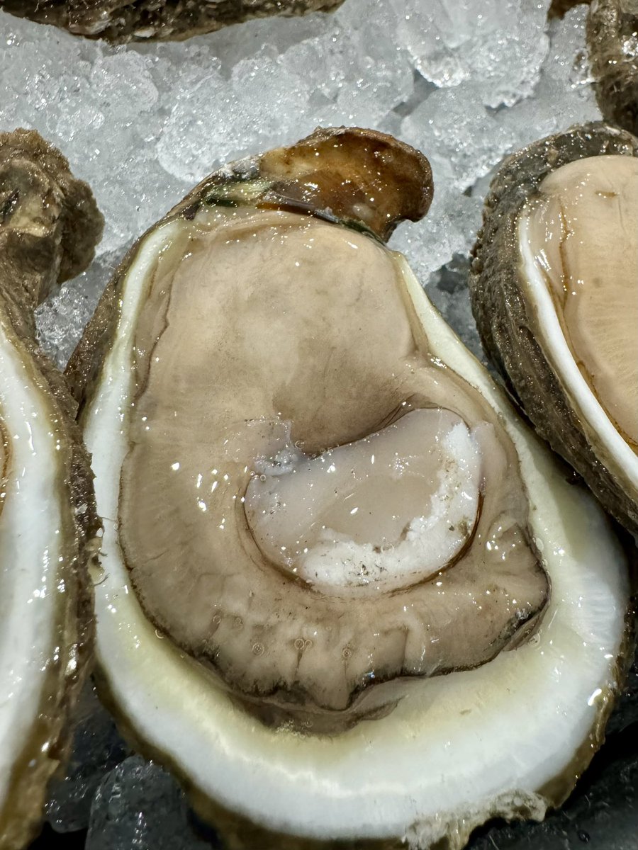 Jim Gossen tweet media