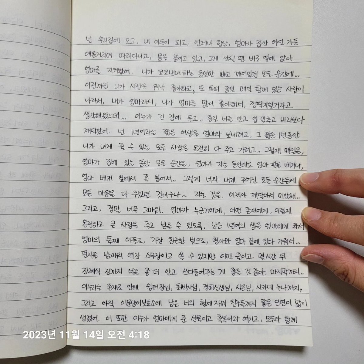 inoo_taepyeong's tweet photo. 이누가 11월 12일 일요일밤 고양이별로 떠났습니다. 마음 추스리고 한달 후쯤 소식을 전하려 했는데, 곧 있을 이누 장례식을 앞두고 이누에게 편지를 쓰는 동안 생각이 바뀌었습니다. 그동안 우리 구 태평이 현 이누를 많이 아끼고 사랑해주신 분들께 알리고, 이누 가는 마지막 길에 https://t.co/B86X9Zp8Da