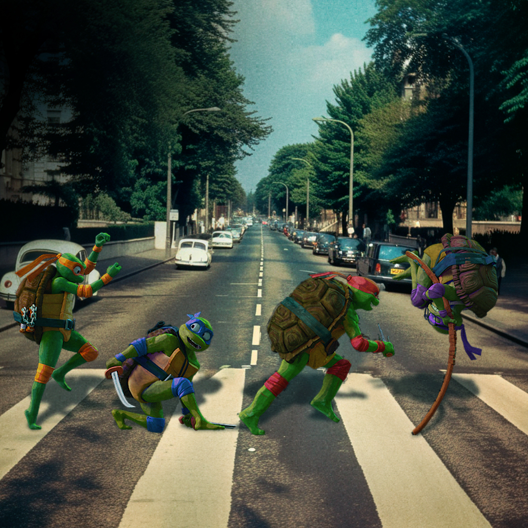 TMNT tweet picture