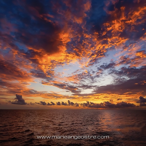 Quand l'océan Indien se voile de sang sous le ciel incandescent d'un coucher de soleil aux Maldives, vers l'atoll de Halaveli au Sud-Est de Malé (la capitale). 📍 <a href="/maldivestourism/">maldives</a> 🇲🇻  <a href="/Constancehotels/">Constance Hotels & Resorts</a> #Maldives #halaveli #travelwriter #sunset