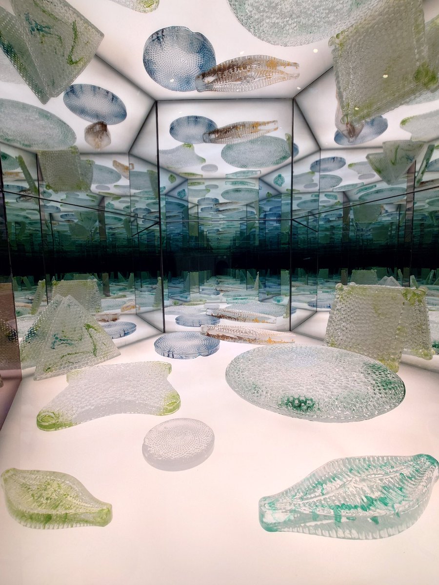 Natalia Hurtado Castaño tweet media