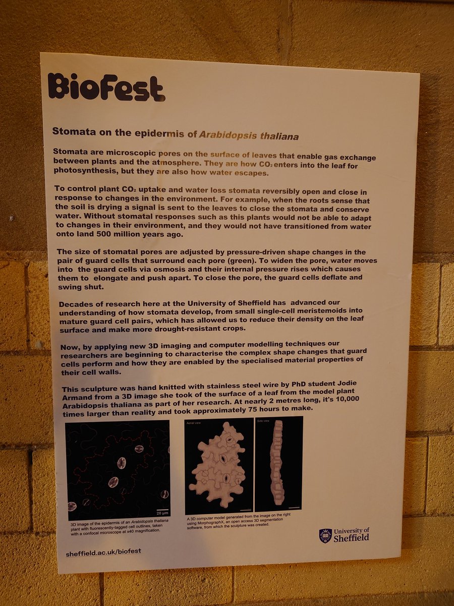 Natalia Hurtado Castaño tweet media