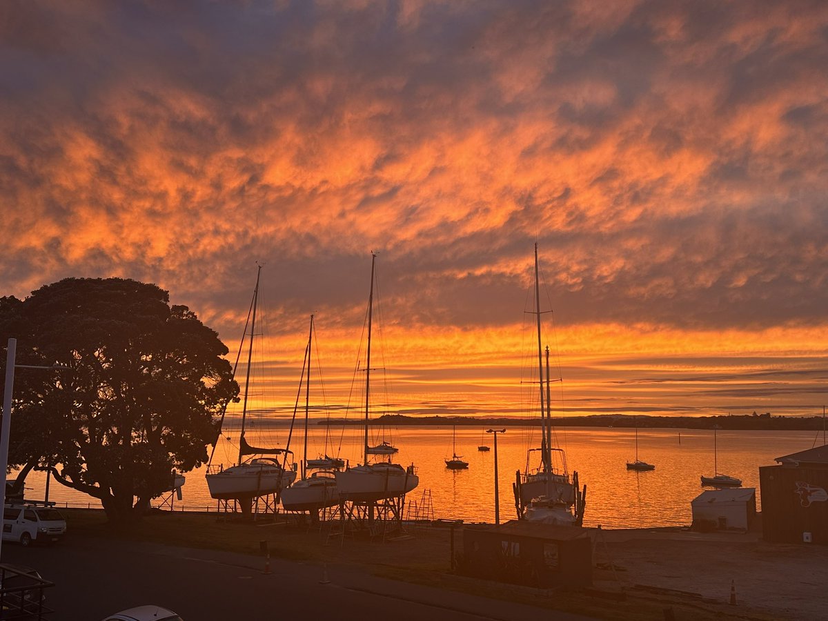 Promising start… #awesomeauckland