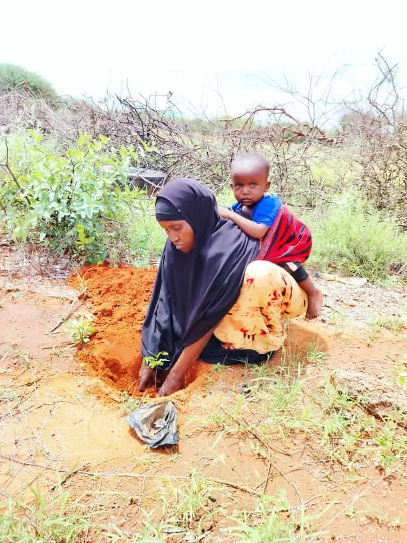 A mother in Mandera County is seen planting a tree while carrying her child on her back.
#trees
#TreesForLife
 #TreePlantingDay