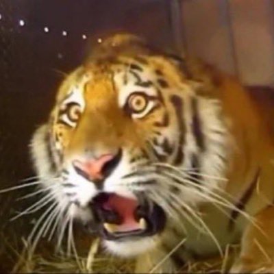 cwill3's tweet image. #NewProfilePic