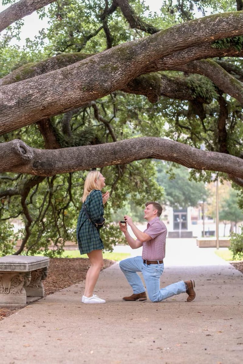 Kelsey Miller tweet media