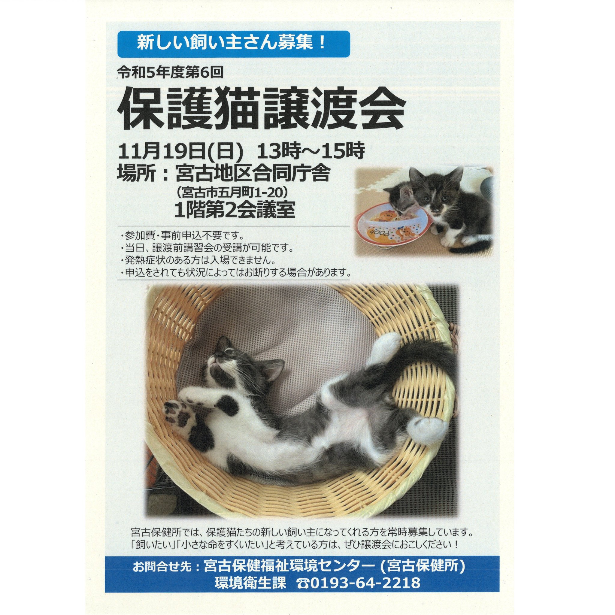 新しい飼い主さん募集してます