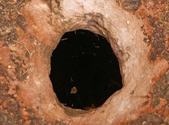 radjacket's tweet photo. someone help me im stuck down a hole don’t ask me what i smelled to get me down here https://t.co/OeBipXXP6R