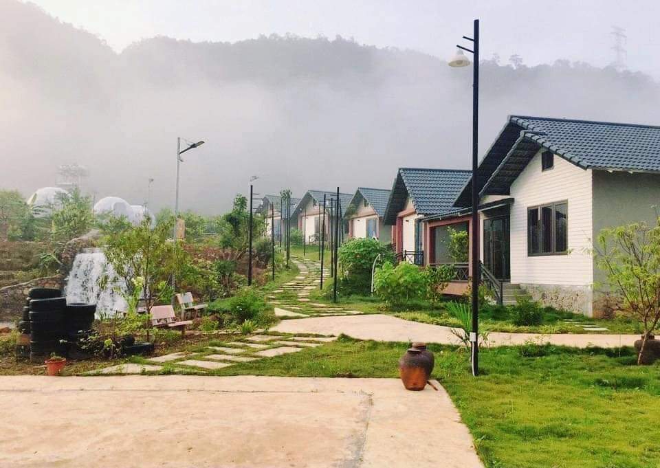 thoxanh171987's tweet photo. Good morning....
Moc Chau is the world's leading natural destination💜💜💜
#đẹp #xinh
#kiem https://t.co/CIa3LGtelp