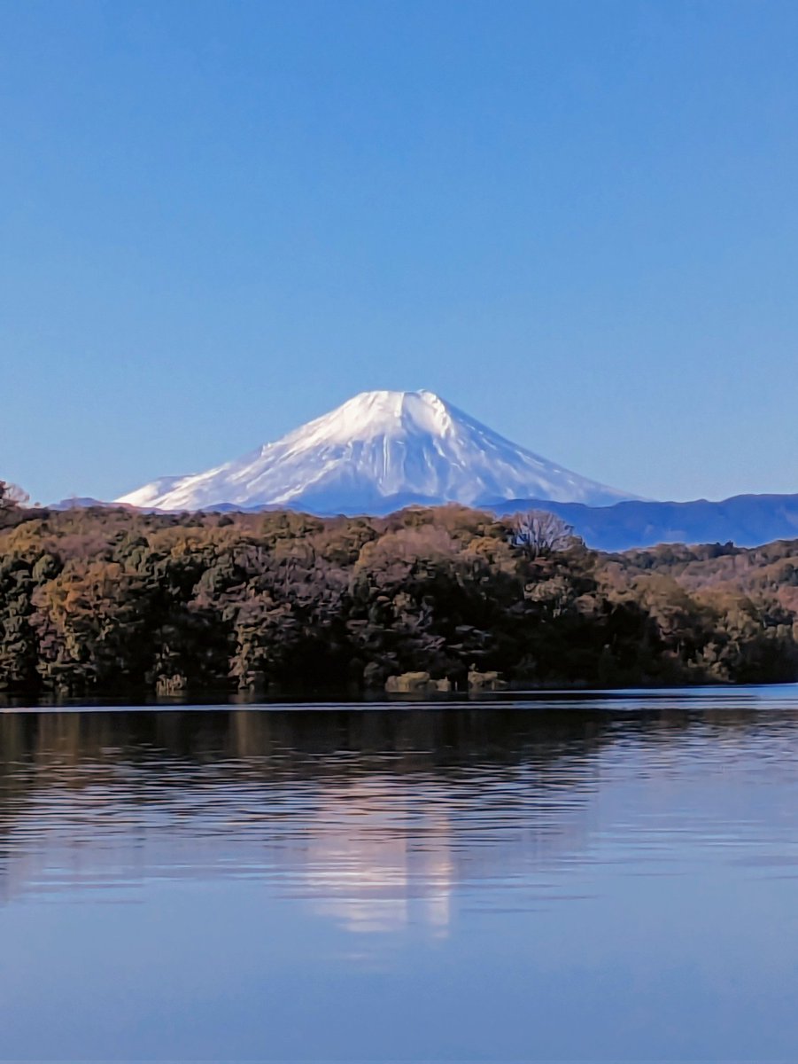A beautiful Autumn morning commute. Fuji san is looking her best today. 🍂🗻🍂