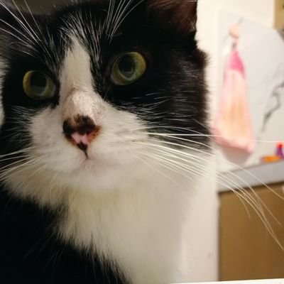 naughty girl tweet media