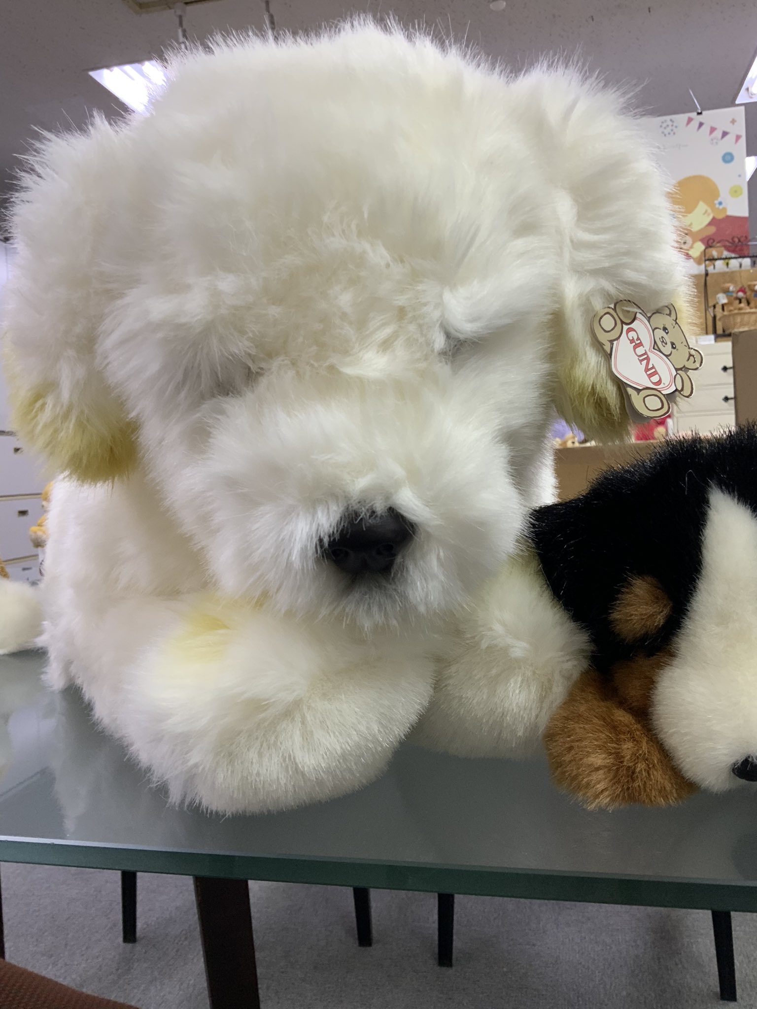 ぬいぐるみの童心【公式】🥺 on X: 