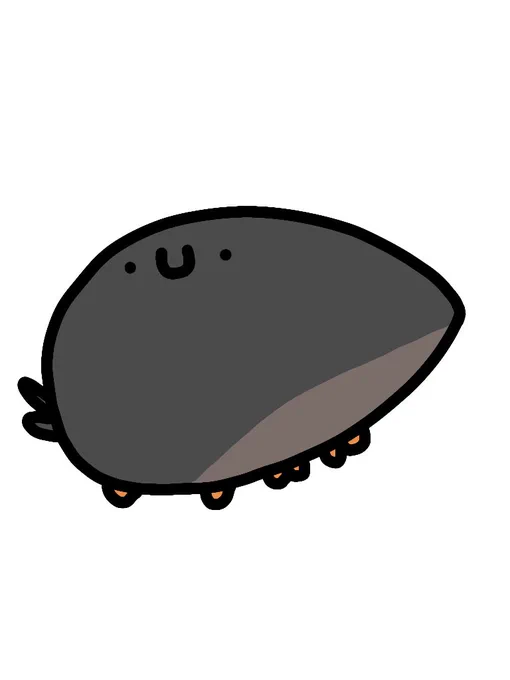 カメノコデオキノコムシ 