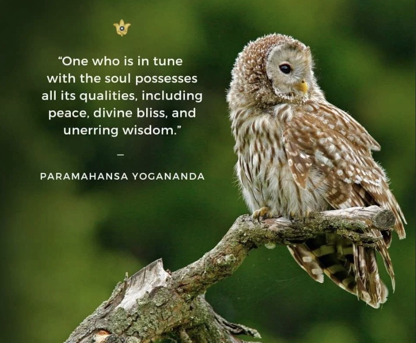 JohnMar77301444's tweet photo. The Essence
by Deva Premal
https://t.co/SgSUwZFnOU
#Bandcamp #DevaPremal #Mantra #MeditationMusic #SelfRealizationFellowship #ParamahansaYogananda
#World #Electronica #MantraMeditation #NewAge #Yoga #Boulder #NYC #Brooklyn #Queens #Bronx #StatenIsland #Art #CollageArt https://t.co/tZP3dj8N78