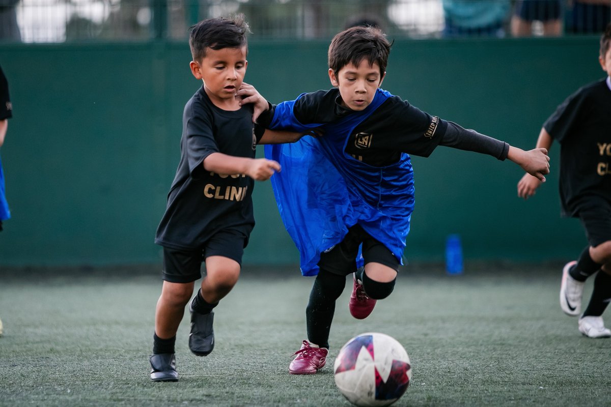 LAFC's tweet photo. The next generation of Black &amp; Gold. 🖤💛

Thank you to everyone who attended our LAFC Youth Clinics presented by @StaterBrosMkts 

#LAFC https://t.co/Md7fR3UfqT