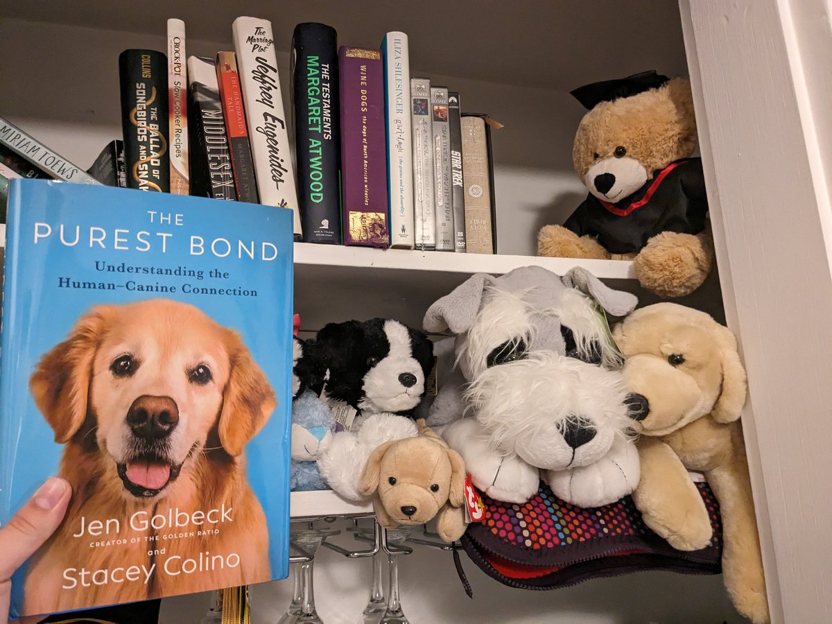 Heather Kirkpatrick tweet media