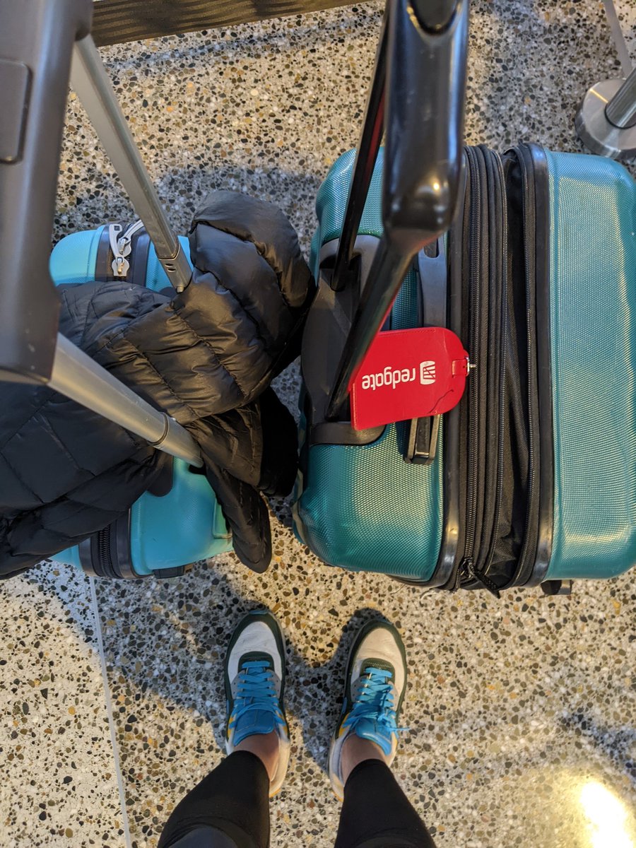 Annabel Bradford tweet media