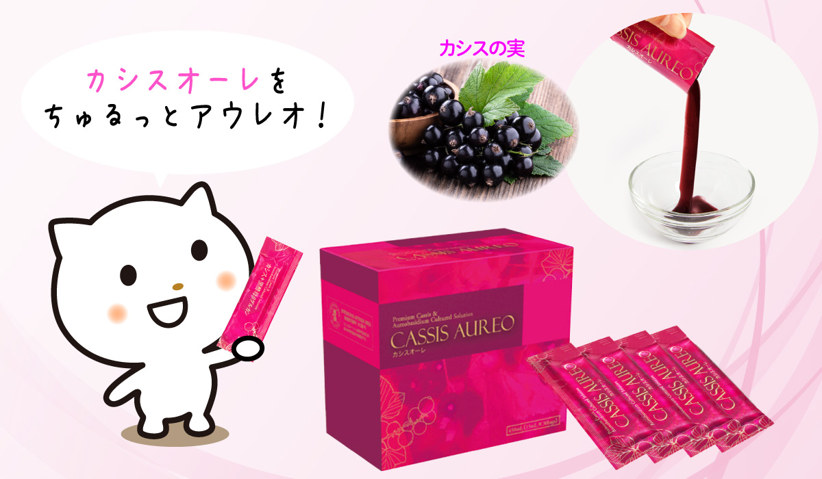 新品未開封】真宝EX＆スマートグルカンセット こわい