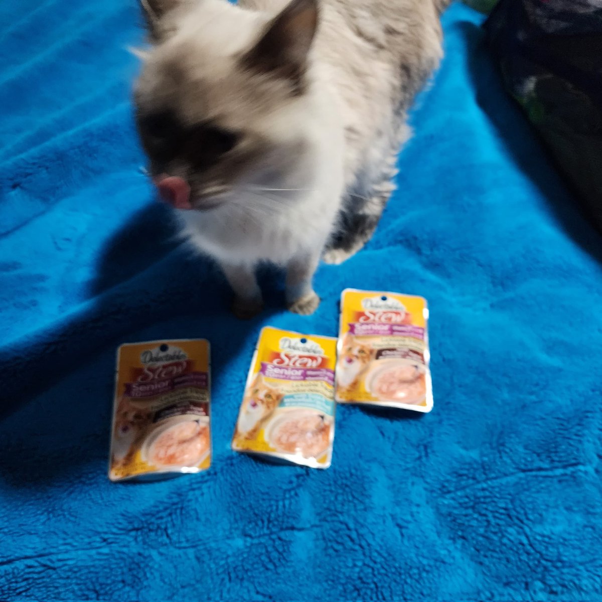 kristincp0's tweet image. Frosty can&apos;t wait to try Hartz Delectables Stew she received for free from Hartz and PinchMe in return for her honest opinion. @HartzPets @pinchme #Complimentary #GotItForFree #HappyPincher #CatsOfTwitter