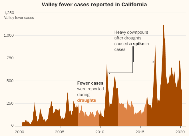 MicrobesInfect's tweet image. Climate change is hastening #valleyfever’s spread across the American West.

The #Coccidioides fungus thrives in dry soils, rides on dust &amp;amp; booms after periods of extreme drought - the cycles that have grown more intense &amp;amp; widespread across the US West.

washingtonpost.com/climate-enviro…