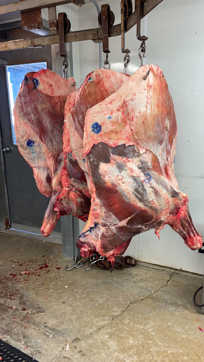 Nick Martin tweet media