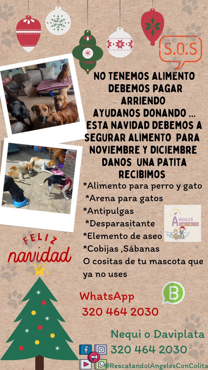 AniiBohorquez's tweet photo. URGENTE SITUACIÓN DE LA FUNDACIÓN ÁNGELES CON COLITA 👇
Estamos sobreviviendo día a día por los animales que tenemos, los viejitos,los no adaptables  animales enfermos ... tenemos que pagar todos los meses el arriendo de su refugio,
Estamos también  construyendo el nuevo refugio https://t.co/ktG8H9MSE0