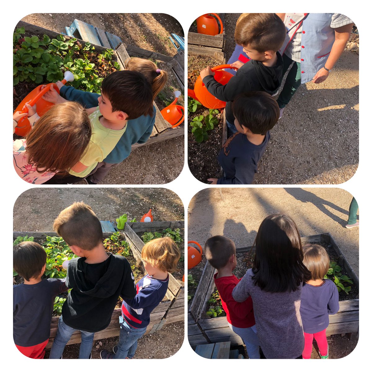 *Què ha passat este estiu a l'hort de l'escola?*
Aquesta és la pregunta que els xiquets i les xiquetes de la comunitat de menuts  ens hem fet a l'iniciar aquest curs.
Decidim que volem tornar a tenir un hort viu i entre tots tornem a posar-lo com ens agrada.