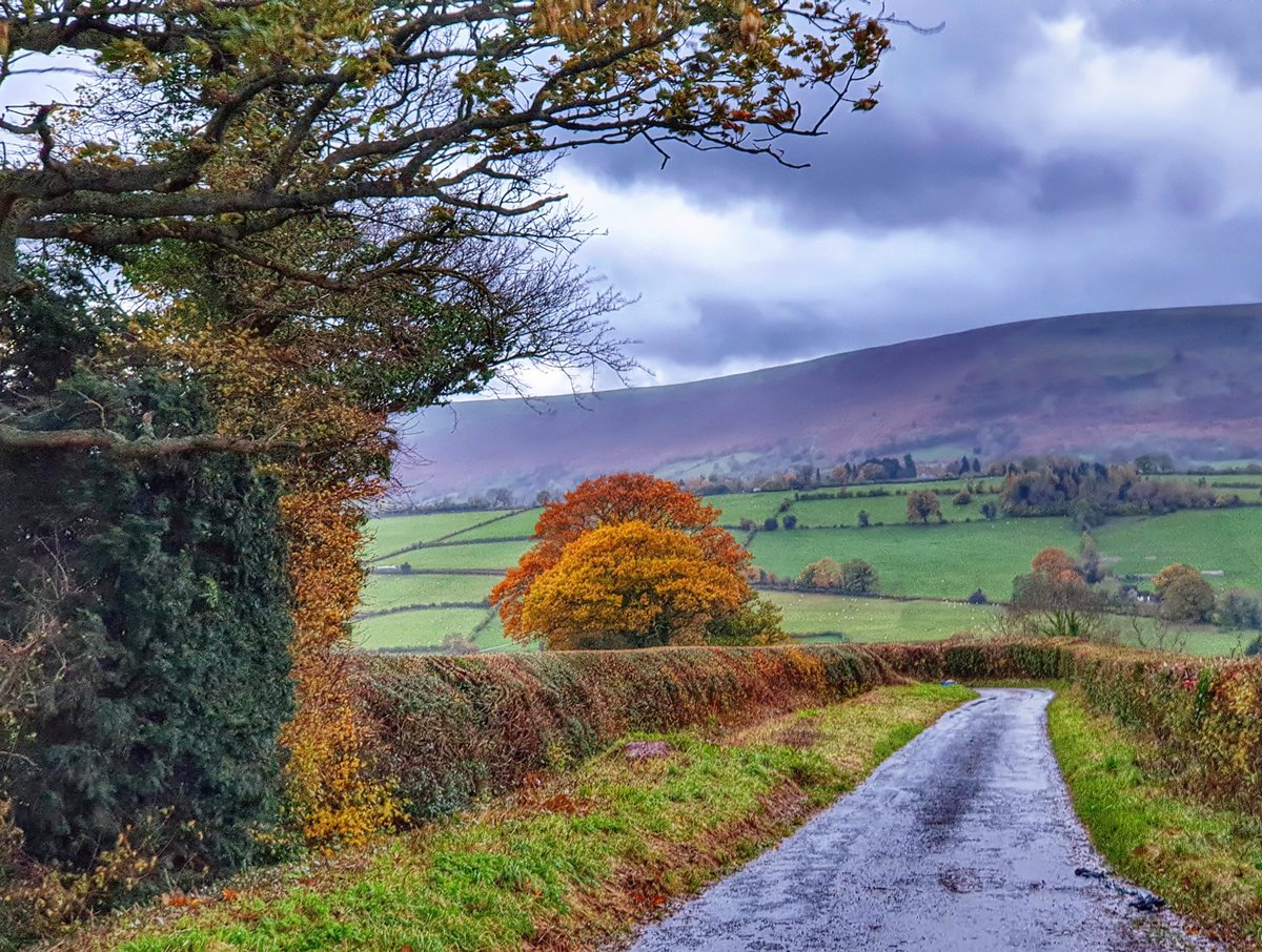 Brilliant day with the #Herefordshire #LocalNaturePartnership looking at the #Uplands 
The weather a bit wild though
#StormDebi