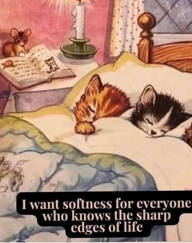 WholesomeMeme's tweet photo. https://t.co/DQ9vjhdl0W