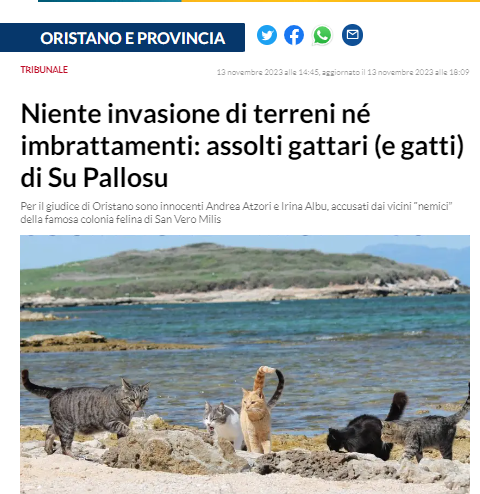 amicisupallosu's tweet photo. Assolti i gattari sardi di Su Pallosu 
#CatsofTwittter  #Gatti #SuPallosu #Sardegna https://t.co/j9nF4q2zVF