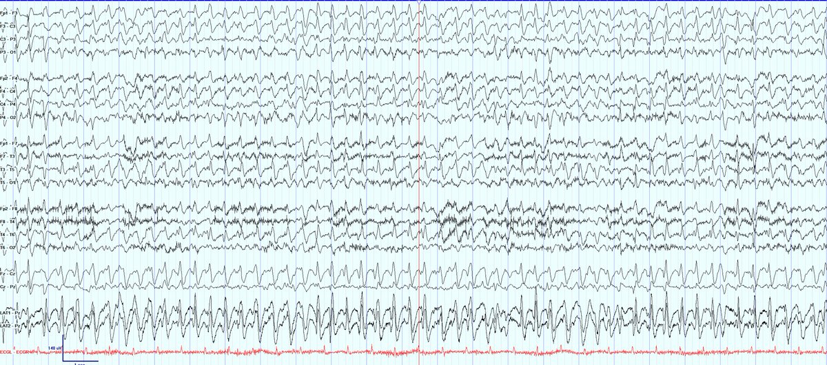 Alexandra Urban tweet media